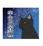 ツンデレくろねこ（個別スタンプ：8）