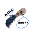 めっちゃ使える♥（個別スタンプ：16）