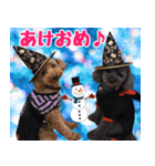 リアルトイプー 日常会話（個別スタンプ：2）