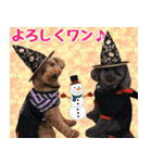 リアルトイプー 日常会話（個別スタンプ：3）