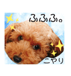 リアルトイプー 日常会話（個別スタンプ：11）