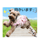 リアルトイプー 日常会話（個別スタンプ：13）