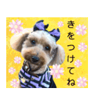 リアルトイプー 日常会話（個別スタンプ：14）