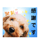 リアルトイプー 日常会話（個別スタンプ：18）