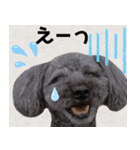 リアルトイプー 日常会話（個別スタンプ：31）
