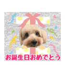リアルトイプー 日常会話（個別スタンプ：32）