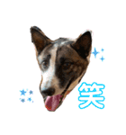 Liannu6（個別スタンプ：5）