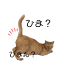 Liannu6（個別スタンプ：11）