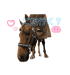 Liannu6（個別スタンプ：14）