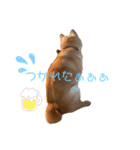 Liannu6（個別スタンプ：20）