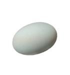 食品シリーズ : 三色蛋（三色卵蒸し)（個別スタンプ：1）