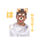 ピアフさま（個別スタンプ：18）