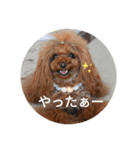 まったりこはる（個別スタンプ：8）