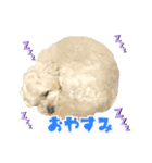 ちゃちゃさんのご挨拶（個別スタンプ：3）