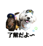 ちゃちゃさんのご挨拶（個別スタンプ：6）