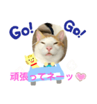 トラチワちゃん♡♡♡☆（個別スタンプ：2）