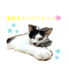 トラチワちゃん♡♡♡☆（個別スタンプ：4）