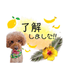 レオンのスタンプ.（個別スタンプ：5）