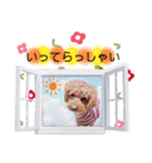 レオンのスタンプ.（個別スタンプ：12）