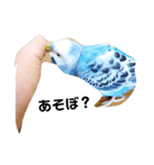 うさぎのモフ インコのシィ（個別スタンプ：4）