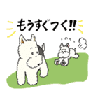ワイヤーフォックステリアのアニーとルーク（個別スタンプ：17）