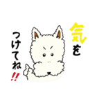 ワイヤーフォックステリアのアニーとルーク（個別スタンプ：32）