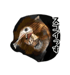 イケメンコレクション ゴイスー編（個別スタンプ：19）