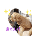うちのララちゃんversion3（個別スタンプ：7）