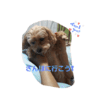 うちのララちゃんversion3（個別スタンプ：18）