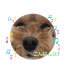 うちのララちゃんversion3（個別スタンプ：20）