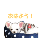 kotetsuなスタンプ。（個別スタンプ：12）