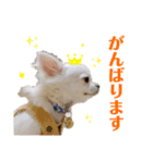kotetsuなスタンプ。（個別スタンプ：16）