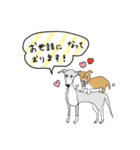 2匹のワンコ♡犬スタンプ（個別スタンプ：13）