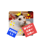 つくしとごんのお正月（個別スタンプ：2）