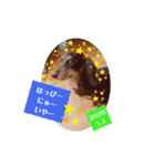 つくしとごんのお正月（個別スタンプ：5）