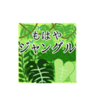 流石に草すぎる（個別スタンプ：8）