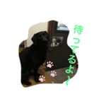 ラブラドール＊ひな5（個別スタンプ：14）