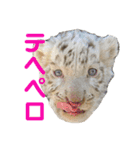 ＊お気に入り動物園の愛すべきアニマル達＊（個別スタンプ：2）