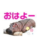 ＊お気に入り動物園の愛すべきアニマル達＊（個別スタンプ：7）