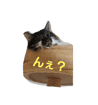 きょうのスタンプだよ（個別スタンプ：5）