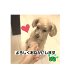 LEE POPO2（個別スタンプ：3）