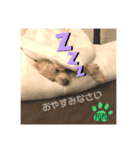 LEE POPO2（個別スタンプ：4）