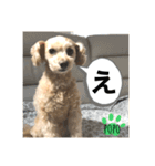 LEE POPO2（個別スタンプ：6）