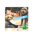 LEE POPO2（個別スタンプ：8）