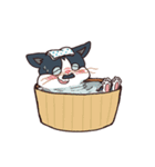 ちょびひげチャップ（個別スタンプ：35）