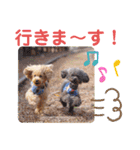 トイプードルの柚子と杏子♡part2（個別スタンプ：8）