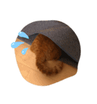茶トラ猫カンテ①（個別スタンプ：3）