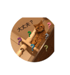 茶トラ猫カンテ①（個別スタンプ：7）