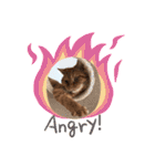 茶トラ猫カンテ①（個別スタンプ：10）