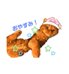 茶トラ猫カンテ①（個別スタンプ：19）